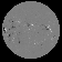 Latest Photospheric magnetogram from National Solar  
 Observatory, Kitt Peak, Arizona